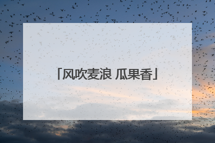 风吹麦浪 瓜果香