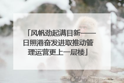 风帆劲起满目新——日照港奋发进取推动管理运营更上一层楼