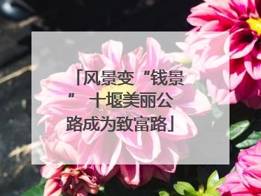 风景变“钱景” 十堰美丽公路成为致富路