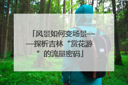风景如何变场景——探析吉林“赏花游”的流量密码