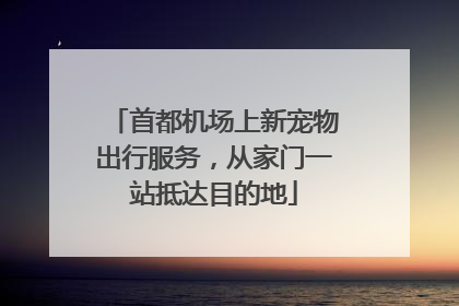 首都机场上新宠物出行服务，从家门一站抵达目的地