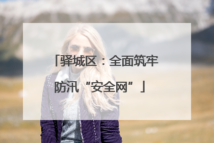 驿城区：全面筑牢防汛“安全网”
