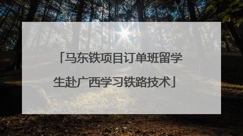 马东铁项目订单班留学生赴广西学习铁路技术