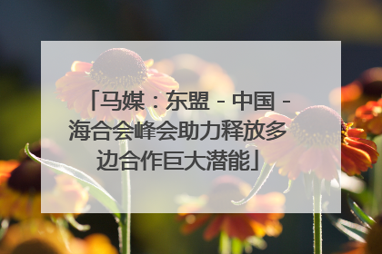马媒：东盟－中国－海合会峰会助力释放多边合作巨大潜能