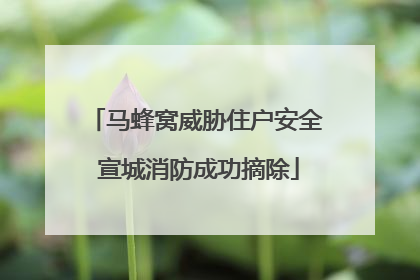 马蜂窝威胁住户安全 宣城消防成功摘除