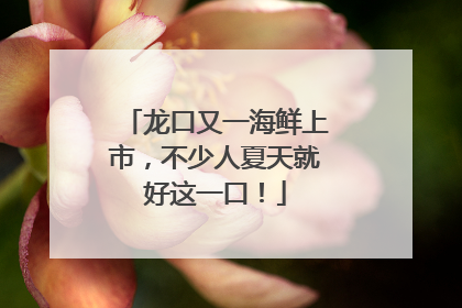 龙口又一海鲜上市，不少人夏天就好这一口！