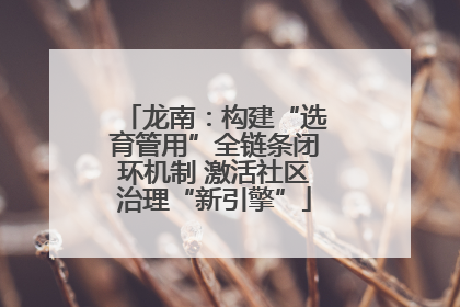 龙南：构建“选育管用”全链条闭环机制 激活社区治理“新引擎”
