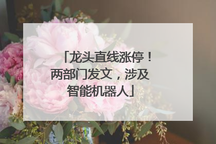龙头直线涨停！两部门发文，涉及智能机器人