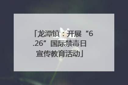 龙潭镇：开展“6.26”国际禁毒日宣传教育活动