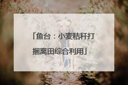 鱼台：小麦秸秆打捆离田综合利用