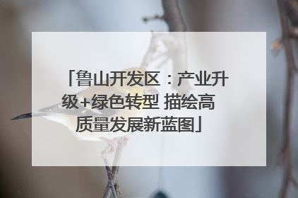 鲁山开发区：产业升级+绿色转型 描绘高质量发展新蓝图