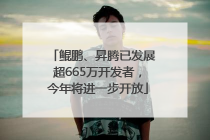 鲲鹏、昇腾已发展超665万开发者，今年将进一步开放