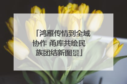鸿雁传情到全域协作 甬库共绘民族团结新图景