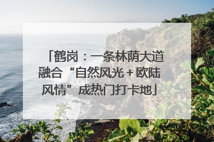 鹤岗：一条林荫大道融合“自然风光＋欧陆风情”成热门打卡地
