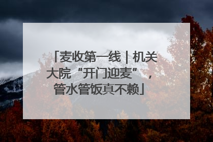 麦收第一线｜机关大院“开门迎麦”，管水管饭真不赖