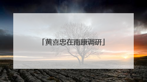 黄喜忠在南康调研