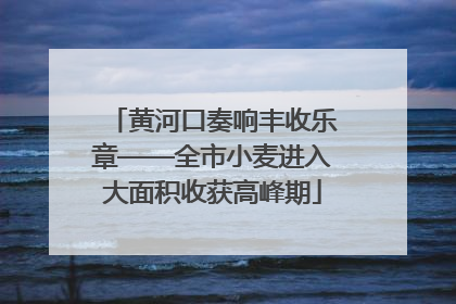 黄河口奏响丰收乐章——全市小麦进入大面积收获高峰期