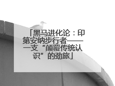 黑马进化论：印第安纳步行者——一支“颠覆传统认识”的劲旅