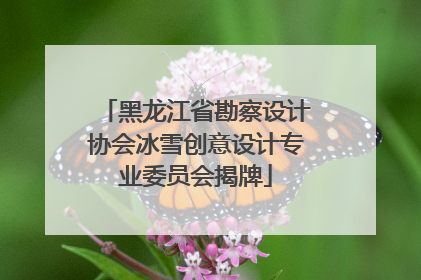 黑龙江省勘察设计协会冰雪创意设计专业委员会揭牌