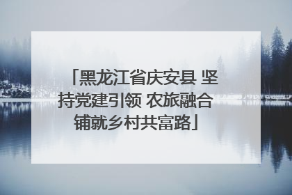 黑龙江省庆安县 坚持党建引领 农旅融合铺就乡村共富路