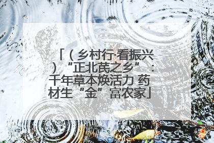 （乡村行·看振兴）“正北芪之乡”：千年草本焕活力 药材生“金”富农家