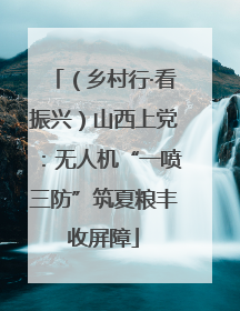 （乡村行·看振兴）山西上党：无人机“一喷三防”筑夏粮丰收屏障