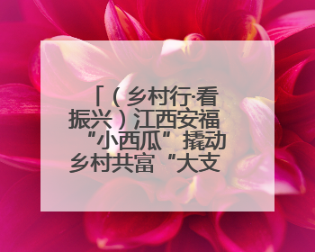 （乡村行·看振兴）江西安福“小西瓜”撬动乡村共富“大支点”