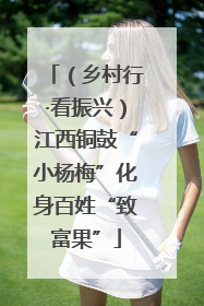 （乡村行·看振兴）江西铜鼓“小杨梅”化身百姓“致富果”