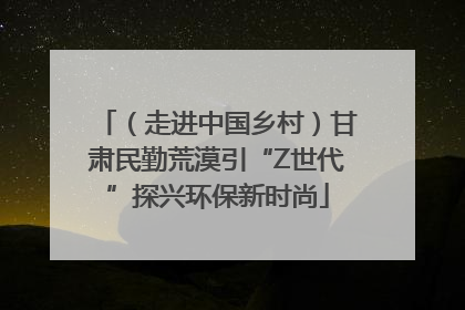 （走进中国乡村）甘肃民勤荒漠引“Z世代”探兴环保新时尚