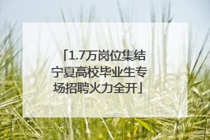 1.7万岗位集结 宁夏高校毕业生专场招聘火力全开