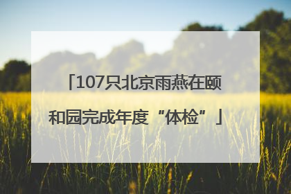 107只北京雨燕在颐和园完成年度“体检”