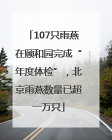 107只雨燕在颐和园完成“年度体检”，北京雨燕数量已超一万只