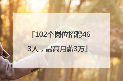102个岗位招聘463人，最高月薪3万