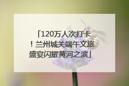 120万人次打卡！兰州城关端午文旅盛宴闪耀黄河之滨
