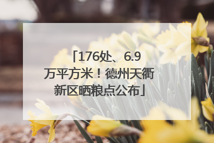 176处、6.9万平方米！德州天衢新区晒粮点公布