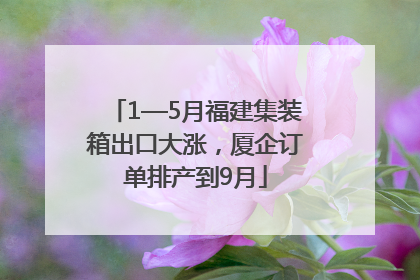 1—5月福建集装箱出口大涨，厦企订单排产到9月