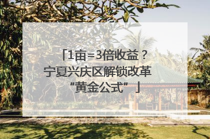 1亩=3倍收益？宁夏兴庆区解锁改革“黄金公式”