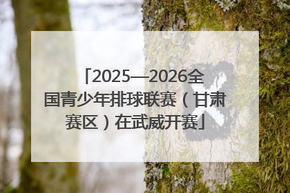 2025—2026全国青少年排球联赛（甘肃赛区）在武威开赛