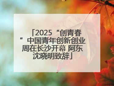 2025“创青春”中国青年创新创业周在长沙开幕 阿东沈晓明致辞