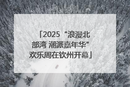 2025“浪漫北部湾 潮派嘉年华”欢乐周在钦州开幕