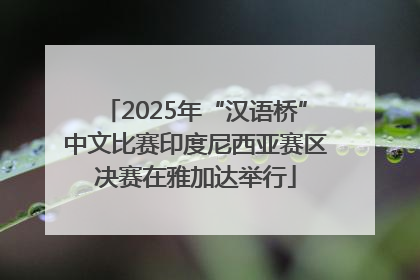 2025年“汉语桥”中文比赛印度尼西亚赛区决赛在雅加达举行
