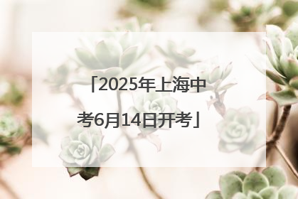 2025年上海中考6月14日开考
