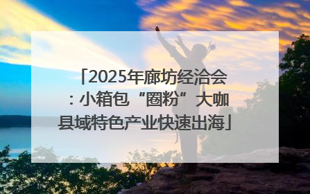 2025年廊坊经洽会：小箱包“圈粉”大咖 县域特色产业快速出海