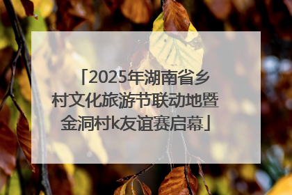 2025年湖南省乡村文化旅游节联动地暨金洞村k友谊赛启幕