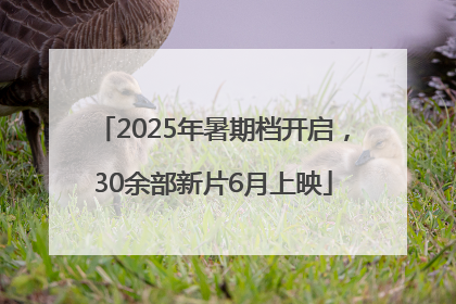 2025年暑期档开启，30余部新片6月上映