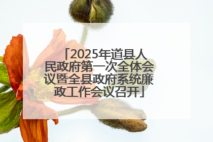 2025年道县人民政府第一次全体会议暨全县政府系统廉政工作会议召开