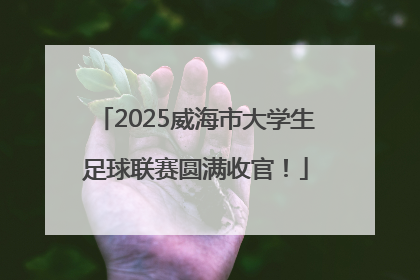2025威海市大学生足球联赛圆满收官！