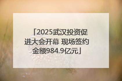2025武汉投资促进大会开幕 现场签约金额984.9亿元