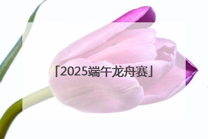 2025端午龙舟赛