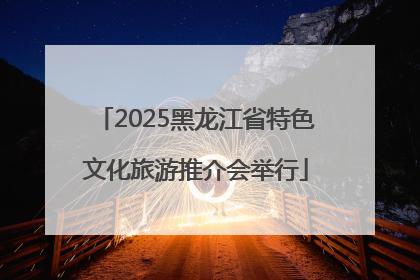 2025黑龙江省特色文化旅游推介会举行